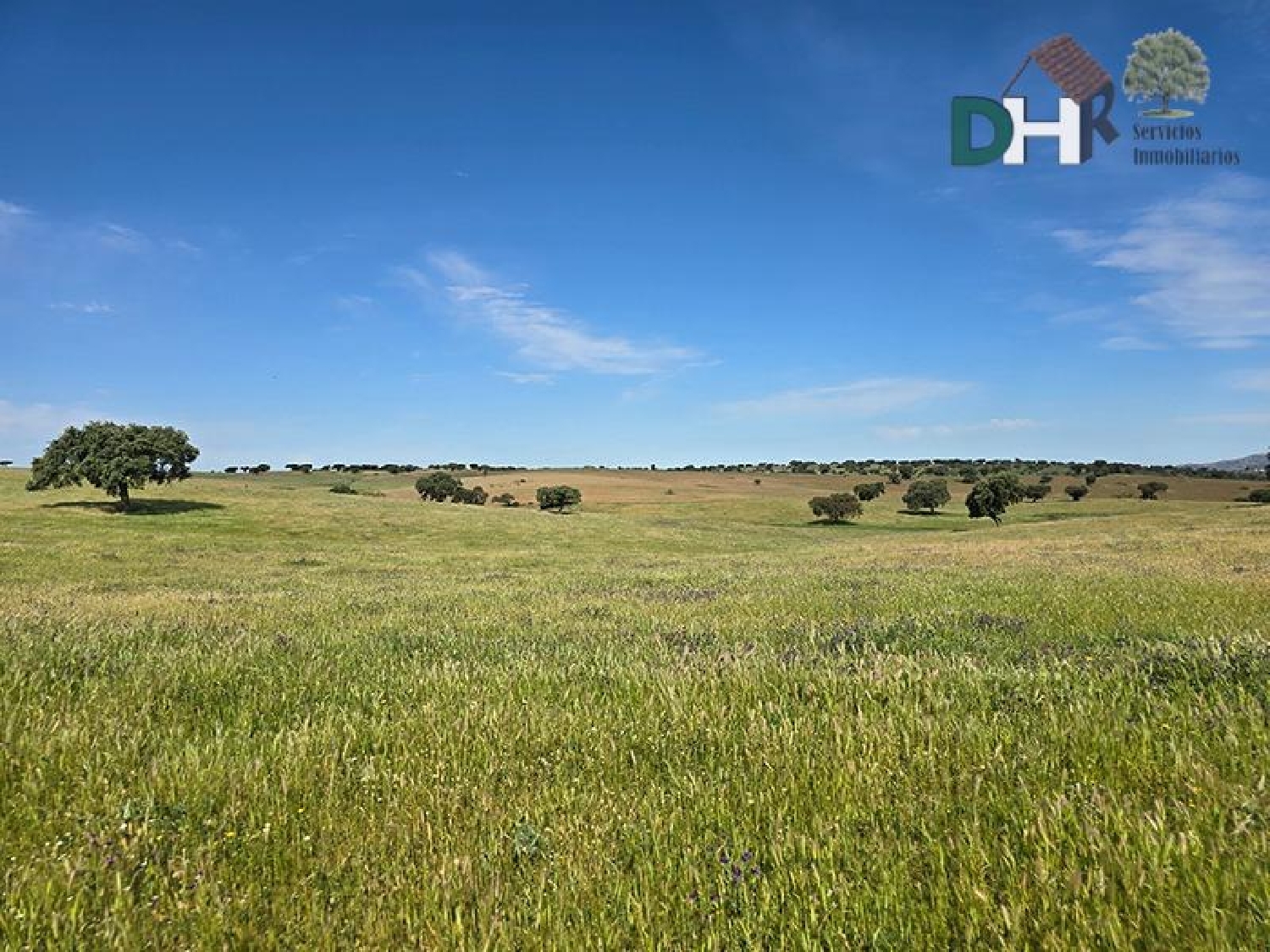  for sale plot Badajoz Casco Antiguo-Centro Badajoz 7