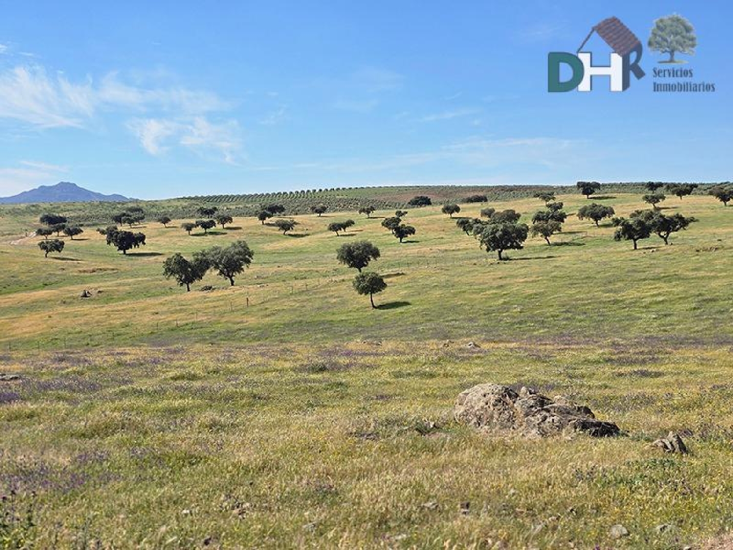  for sale plot Badajoz Casco Antiguo-Centro Badajoz 6