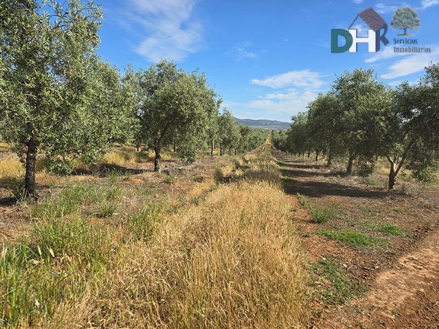  for sale plot Badajoz Casco Antiguo-Centro Badajoz 1