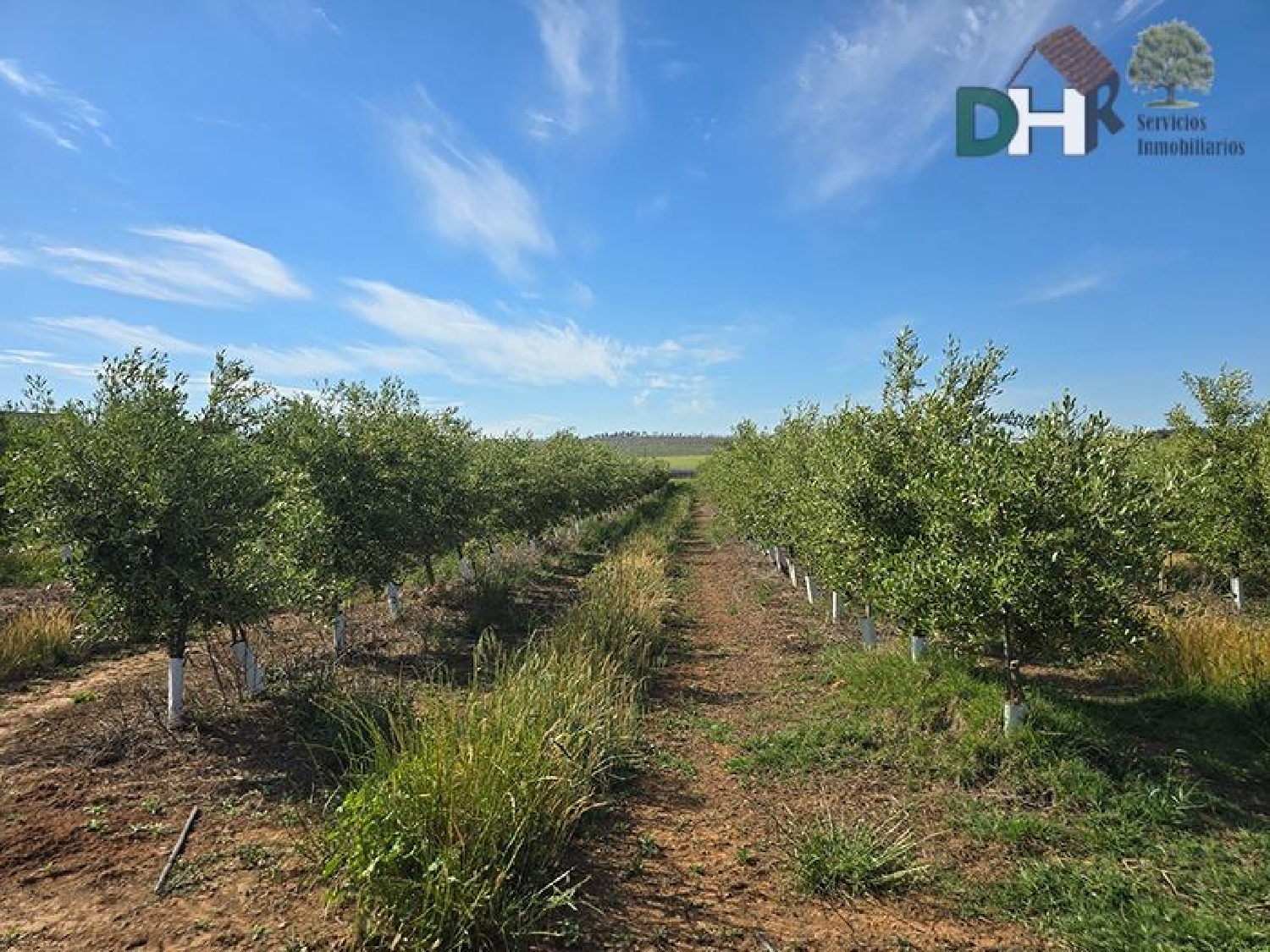  for sale plot Badajoz Casco Antiguo-Centro Badajoz 4