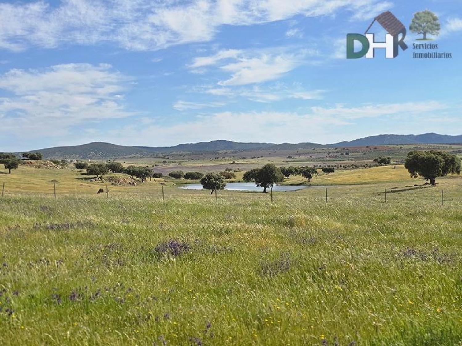  for sale plot Badajoz Casco Antiguo-Centro Badajoz 5