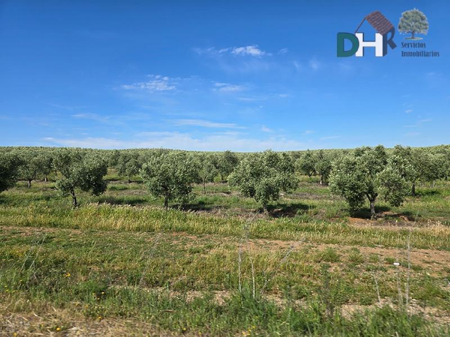  for sale plot Badajoz Casco Antiguo-Centro Badajoz 2