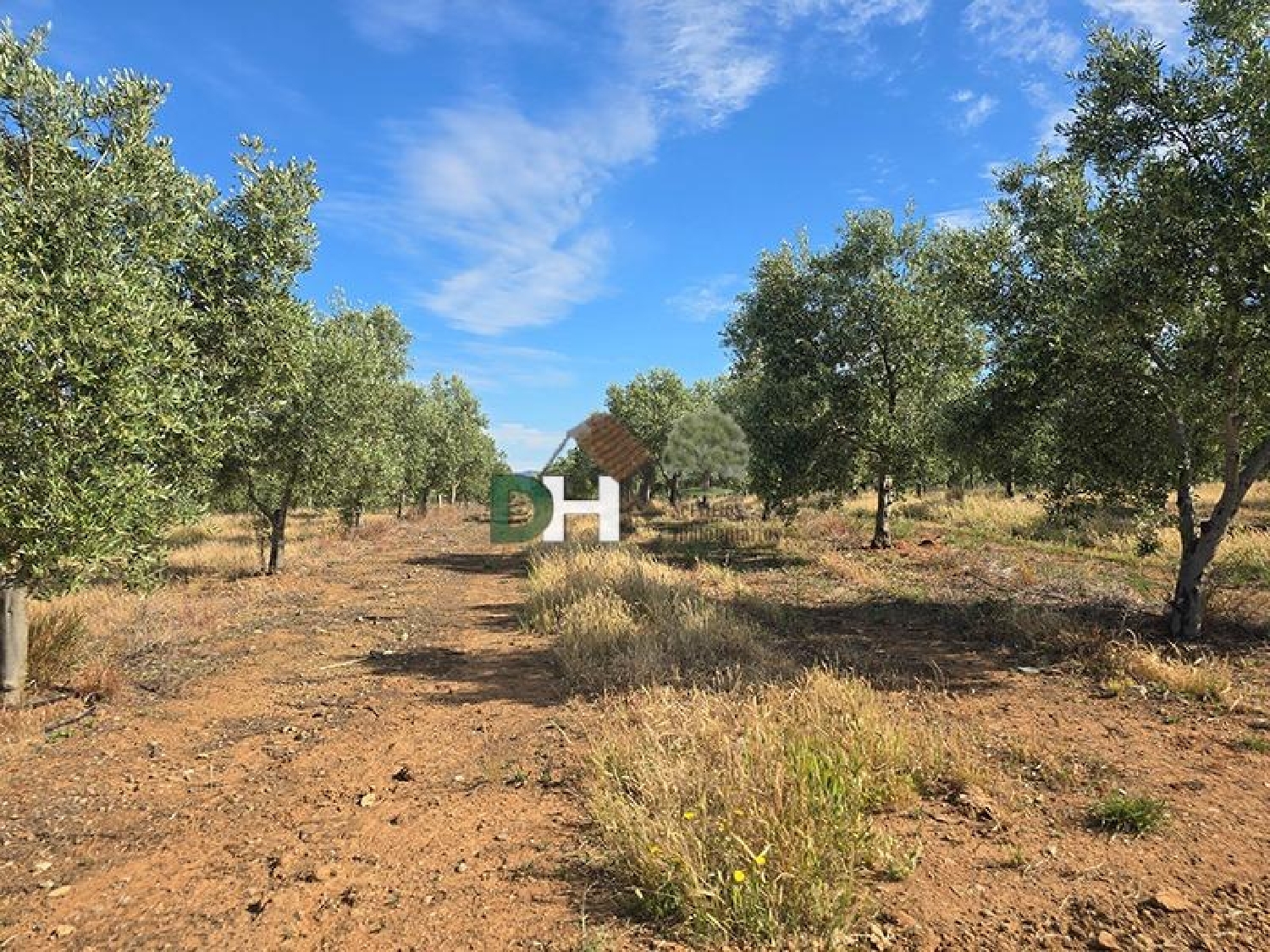  for sale plot Badajoz Casco Antiguo-Centro Badajoz 3