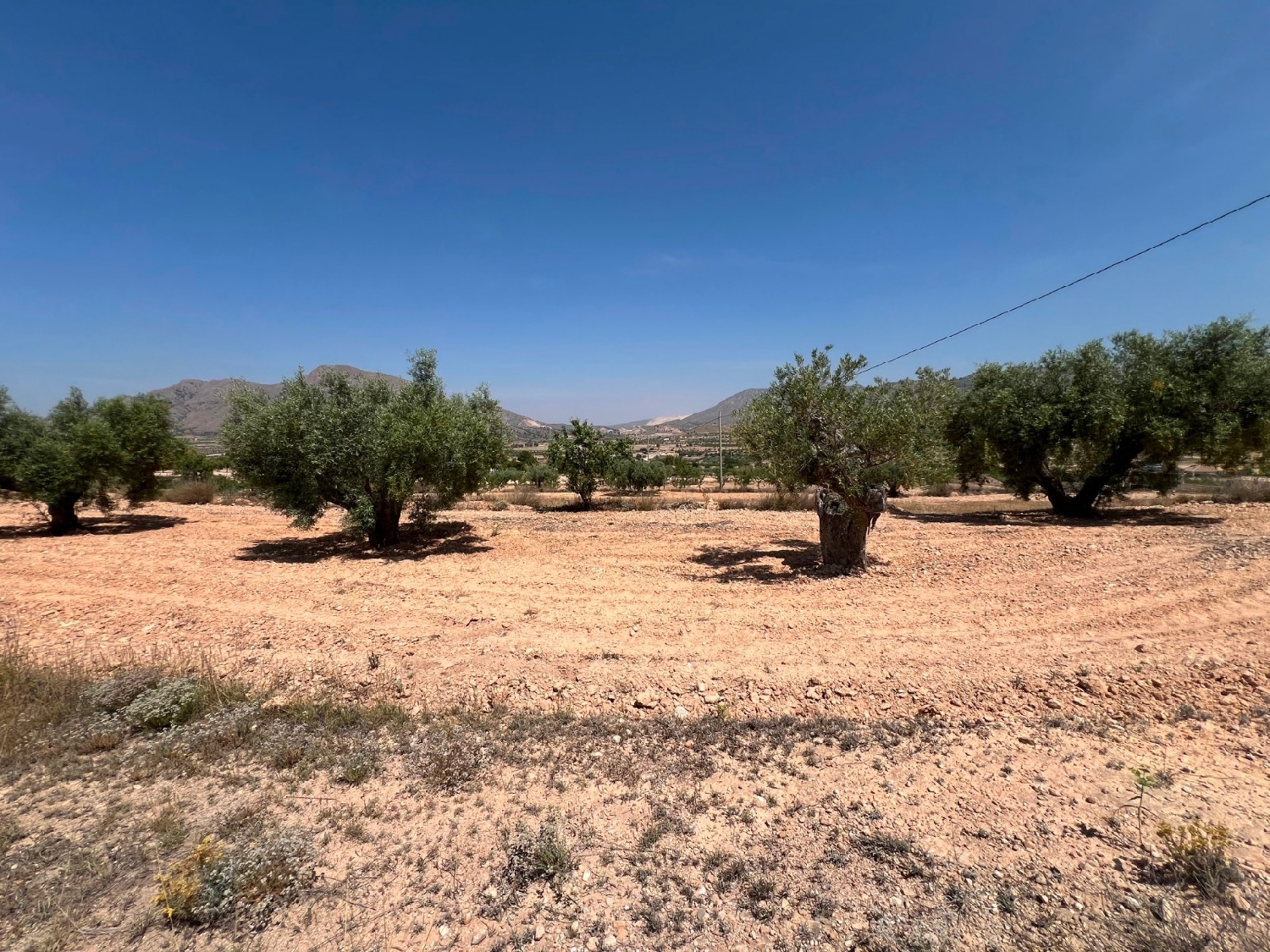  en venta terreno Barbarroja Baix Segura 16