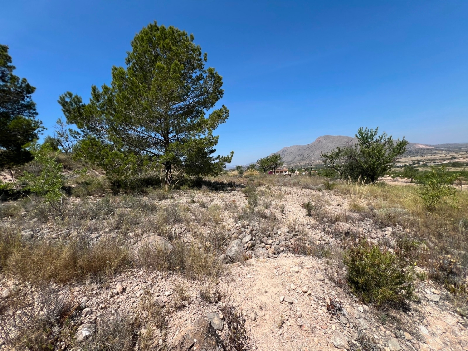  en venta terreno Barbarroja Baix Segura 12