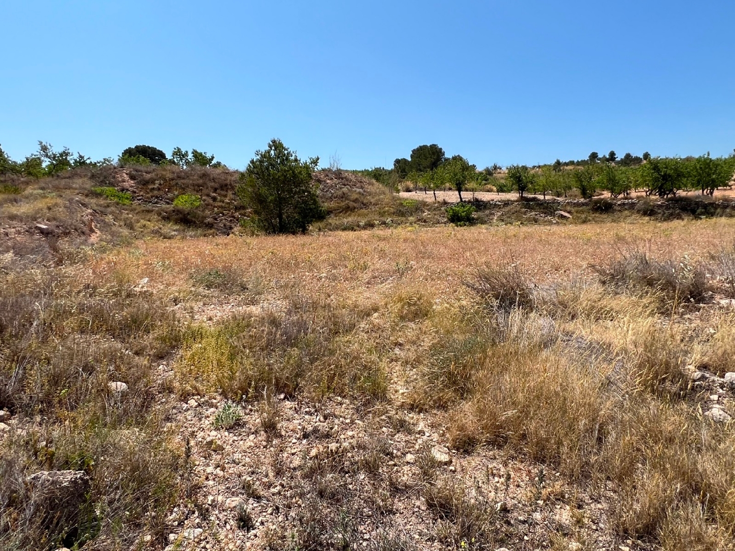  en venta terreno Barbarroja Baix Segura 3