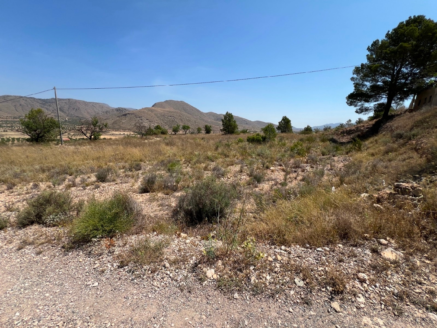  en venta terreno Barbarroja Baix Segura 8