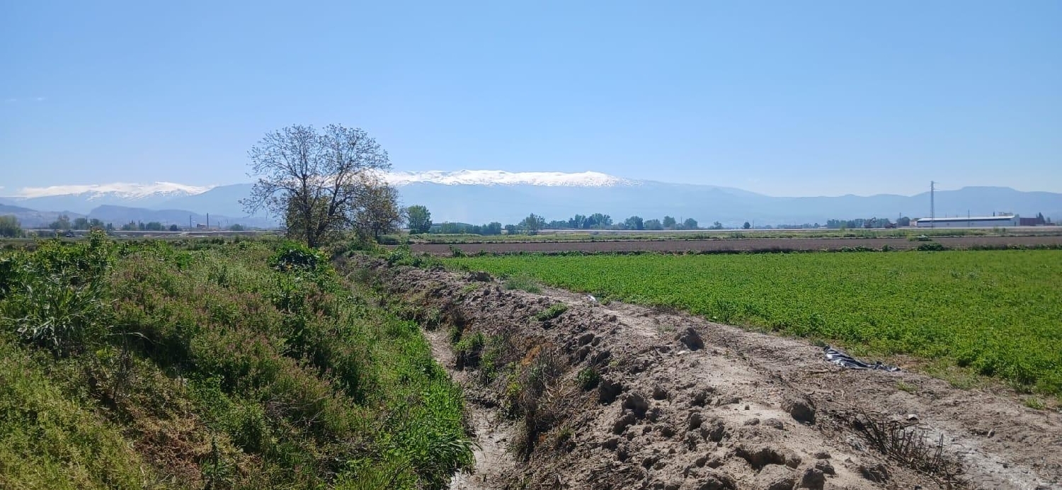  en venta terreno Barrio De Granada Alacantí 1