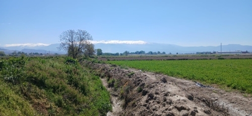 Barrio De Granada Alacantí terreno foto 6372313
