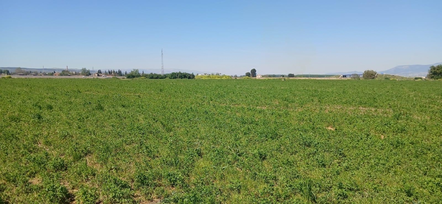  en venta terreno Barrio De Granada Alacantí 3