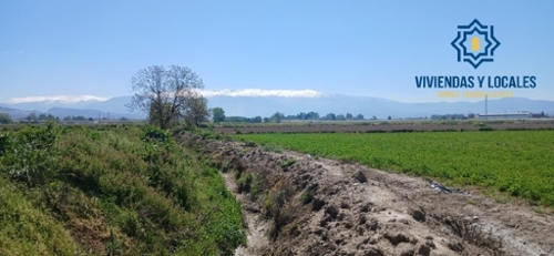 Barrio De Granada Alacantí terrain foto 6372353