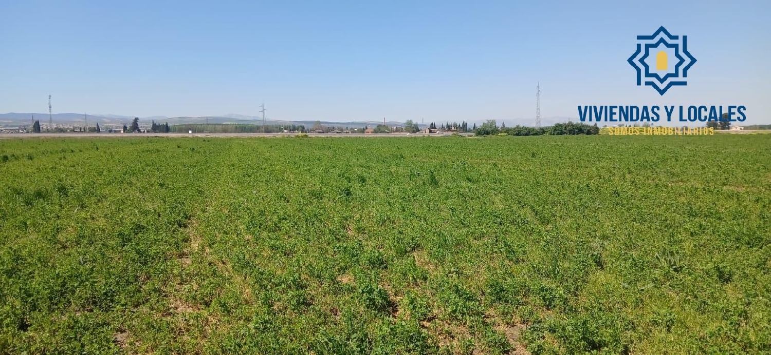  till salu tomt Barrio De Granada Alacantí 5