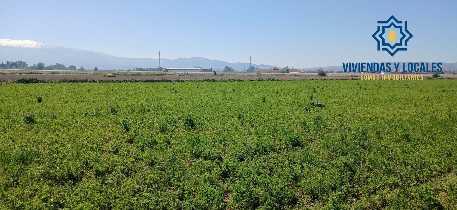  till salu tomt Barrio De Granada Alacantí 8