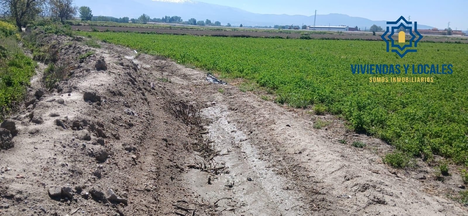  till salu tomt Barrio De Granada Alacantí 4