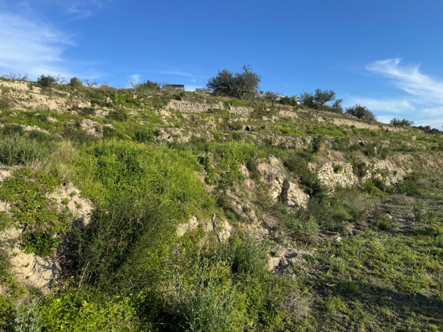  à vendre terrain Benissa Marina Alta 13