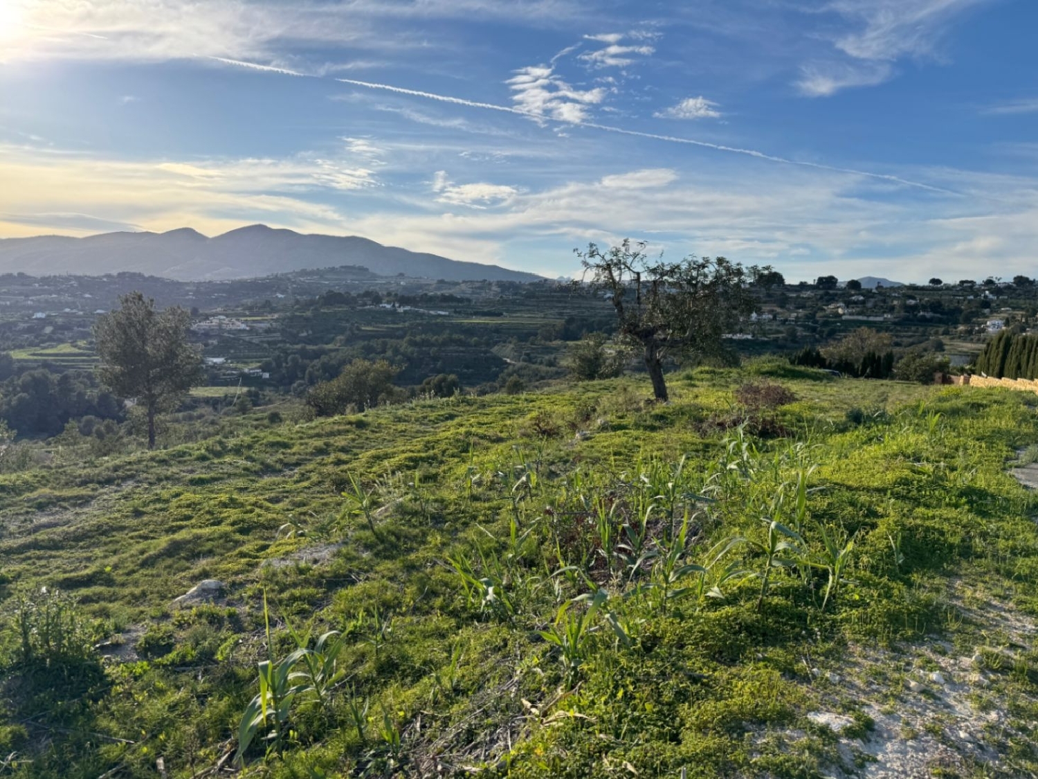  à vendre terrain Benissa Marina Alta 24