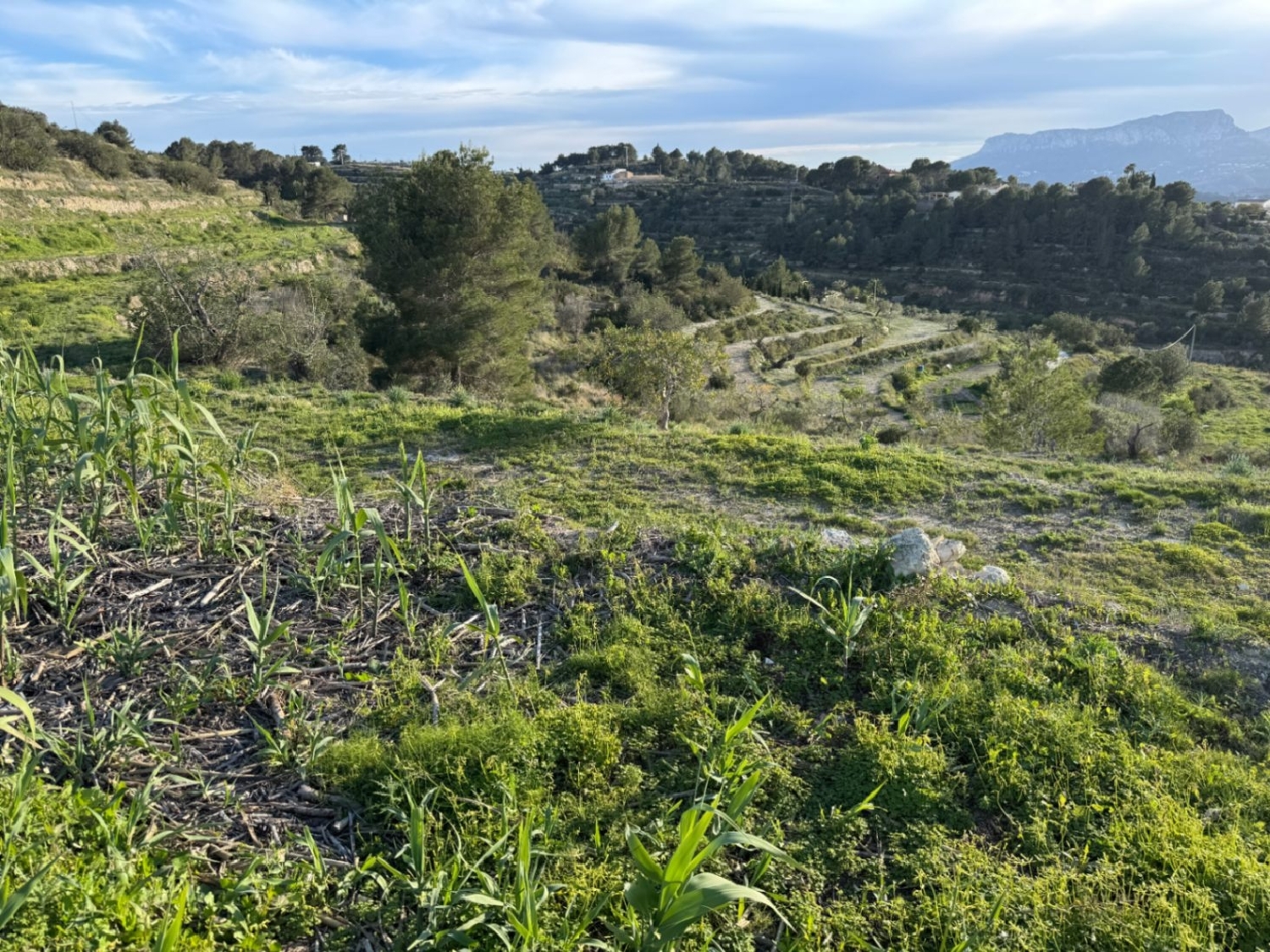  à vendre terrain Benissa Marina Alta 23