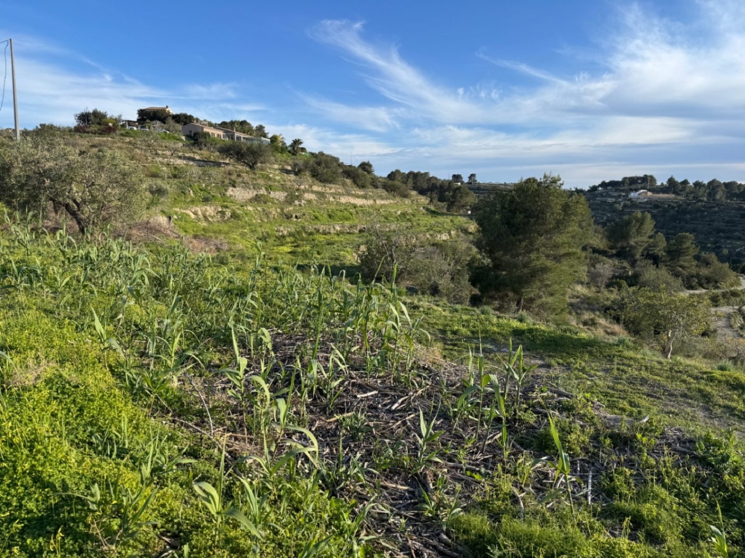  à vendre terrain Benissa Marina Alta 22