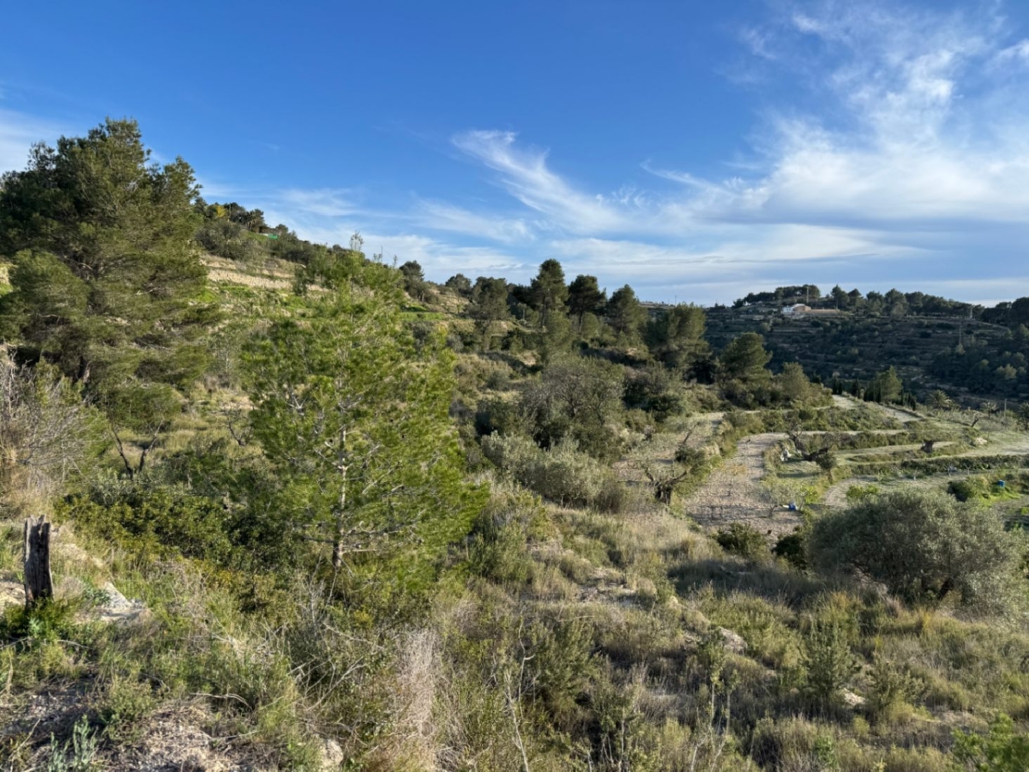  à vendre terrain Benissa Marina Alta 10