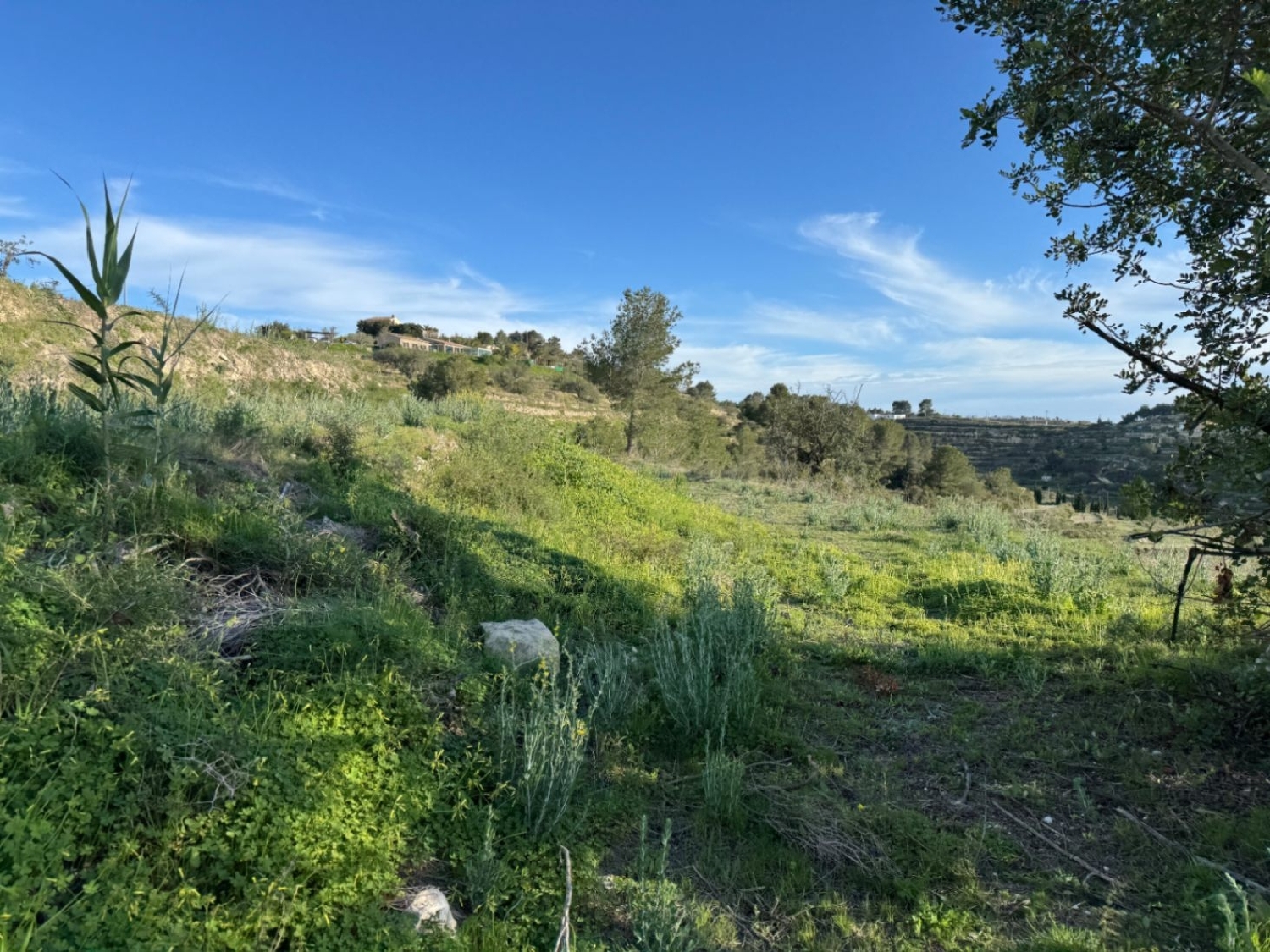  à vendre terrain Benissa Marina Alta 4