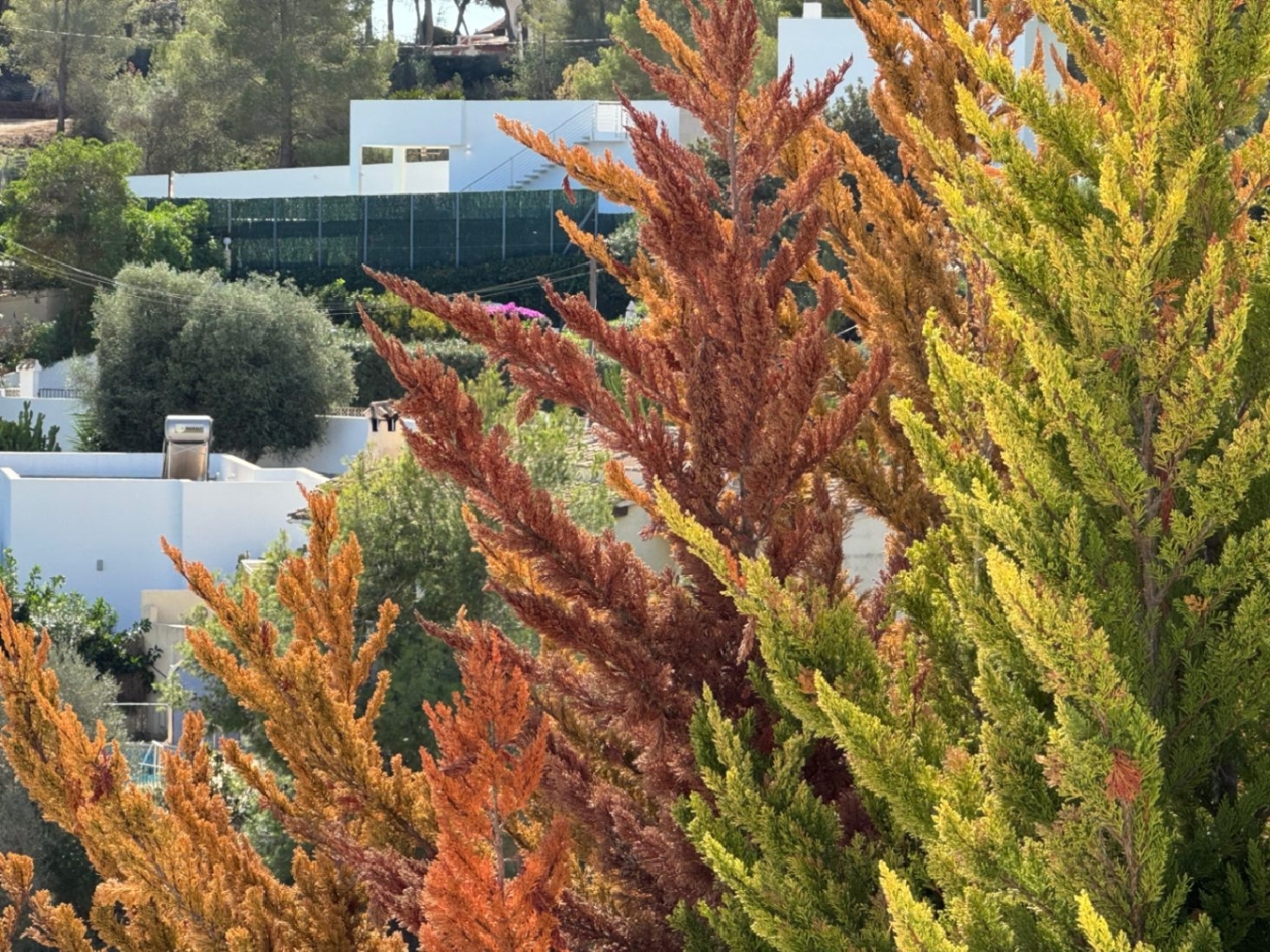  te koop perceel Benissa Marina Alta 16