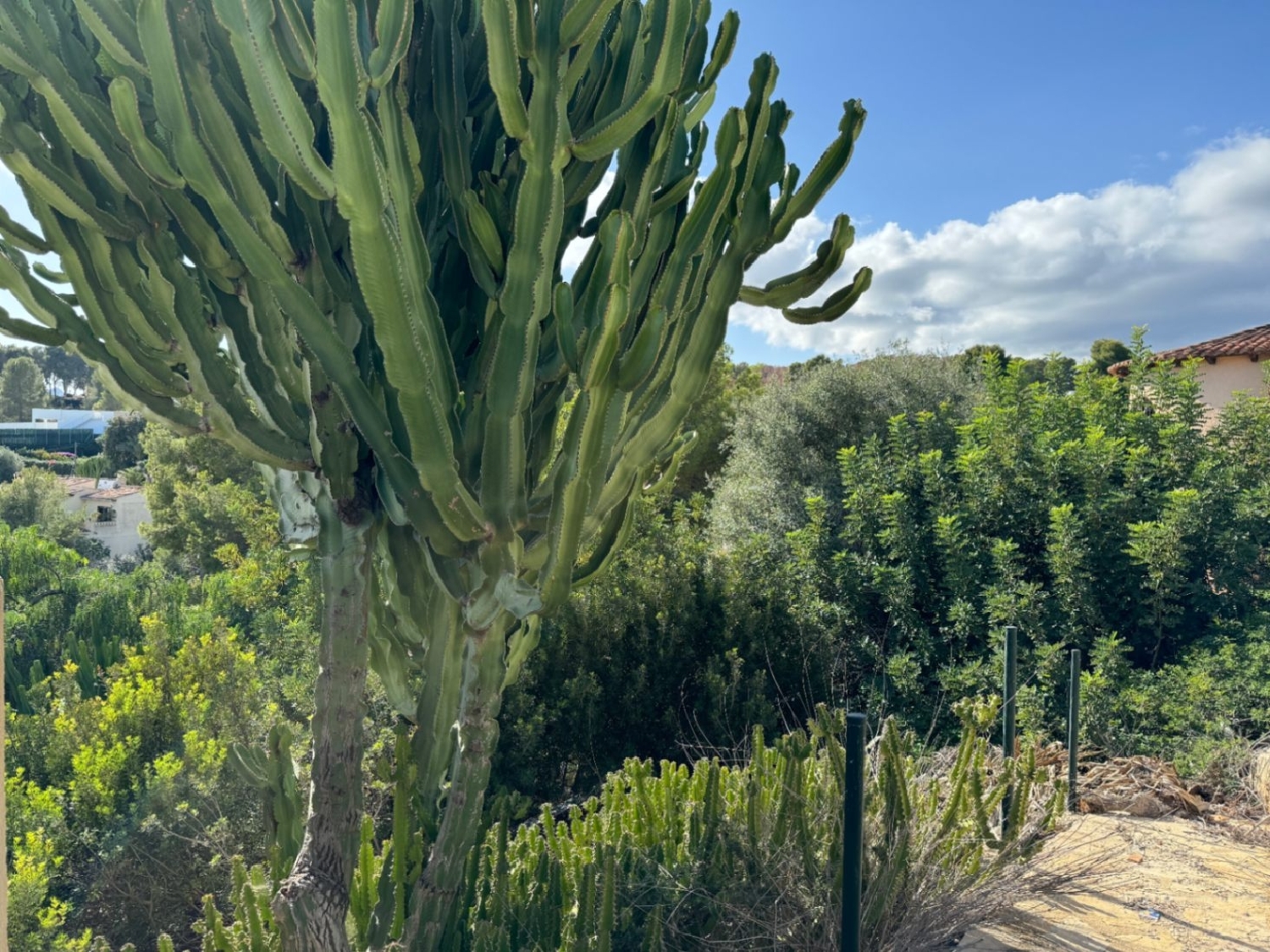  te koop perceel Benissa Marina Alta 7