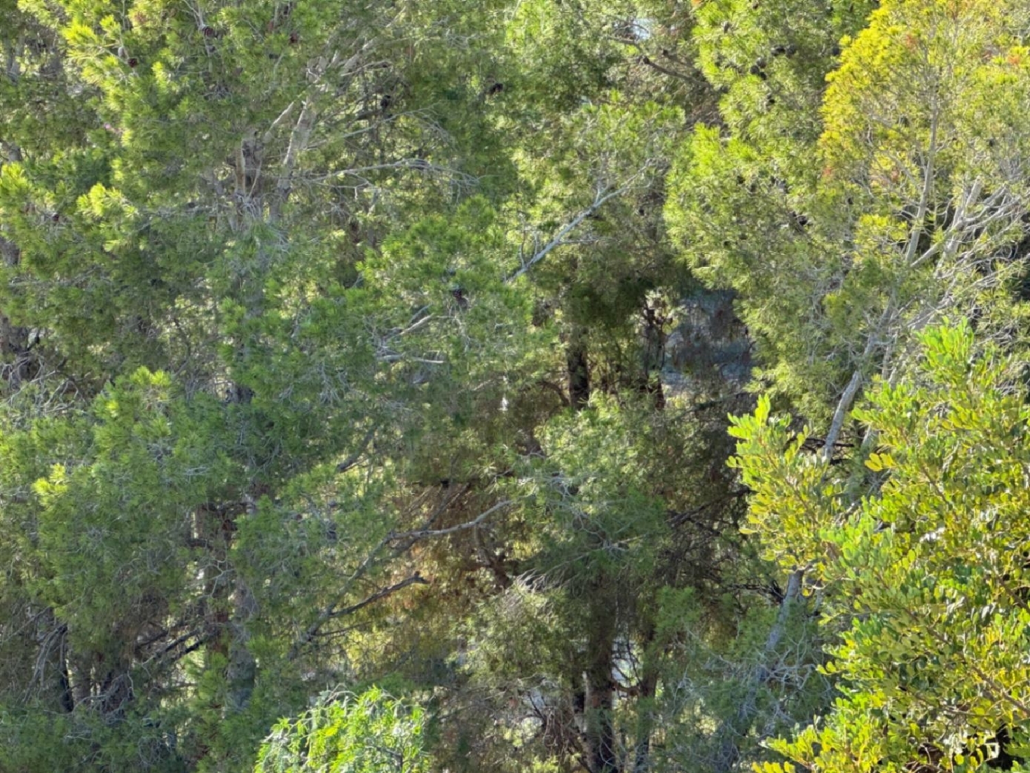  te koop perceel Benissa Marina Alta 17