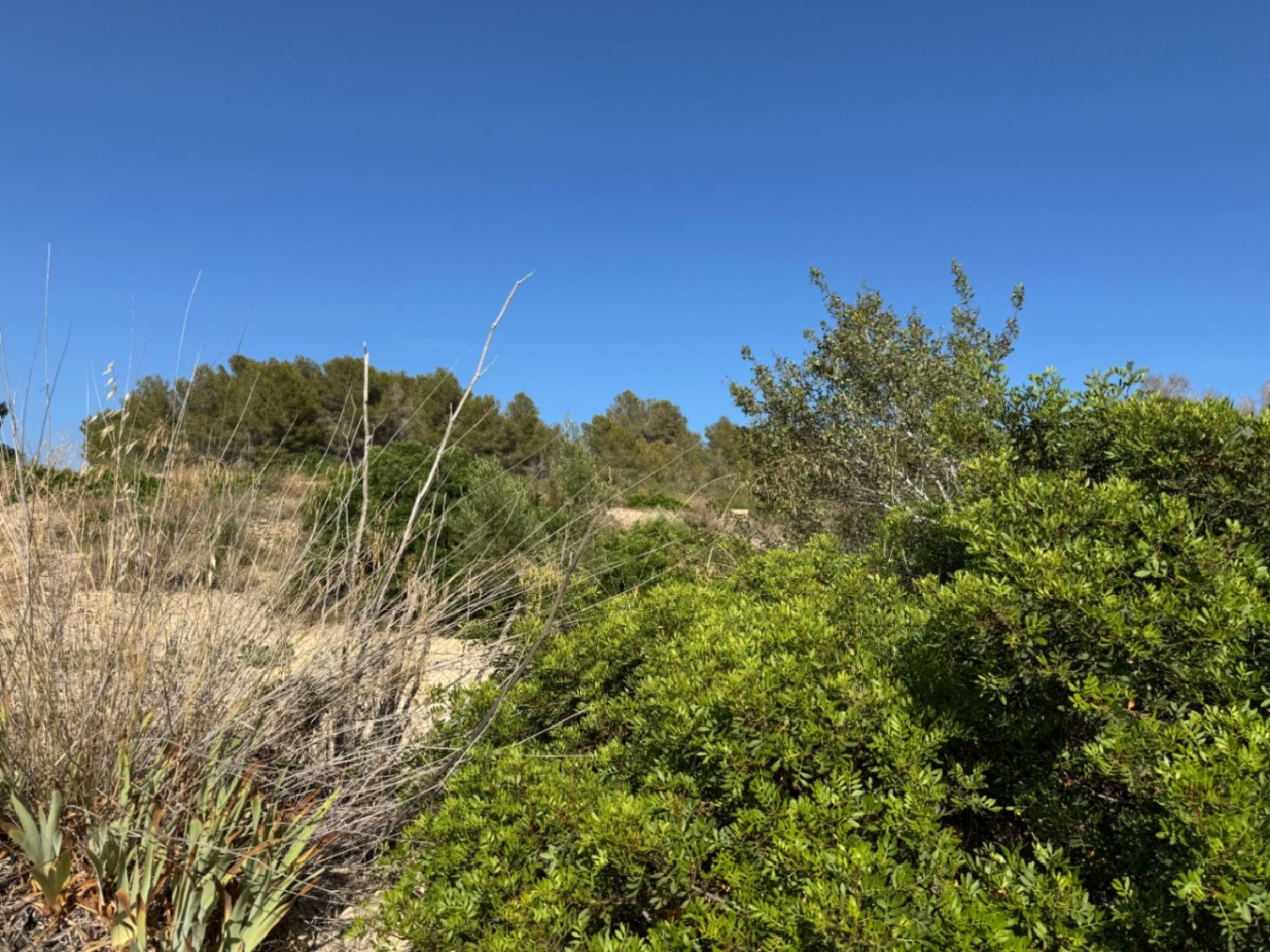  te koop perceel Benissa Marina Alta 21