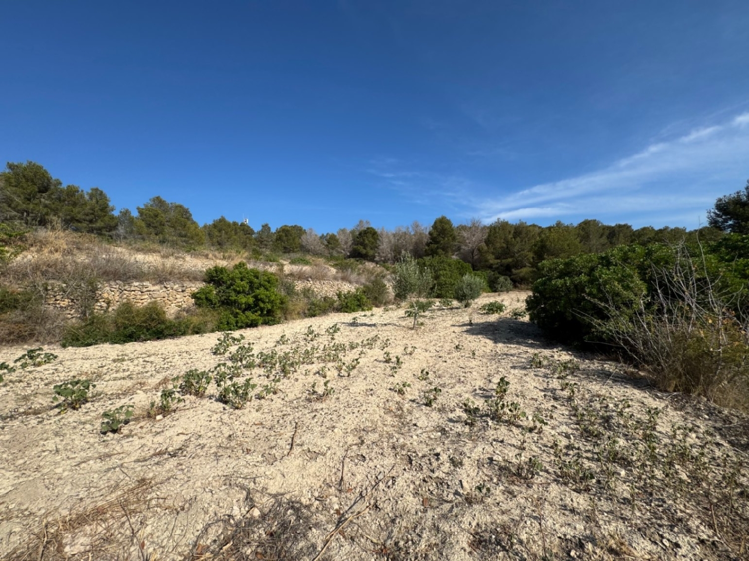  te koop perceel Benissa Marina Alta 5