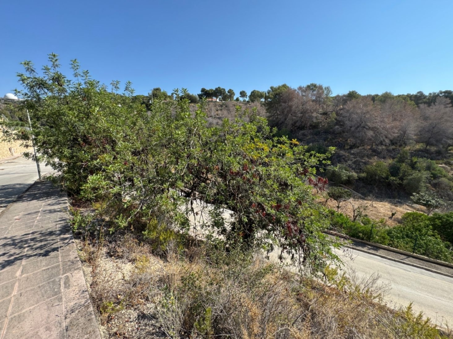  for sale plot Benissa Marina Alta 15