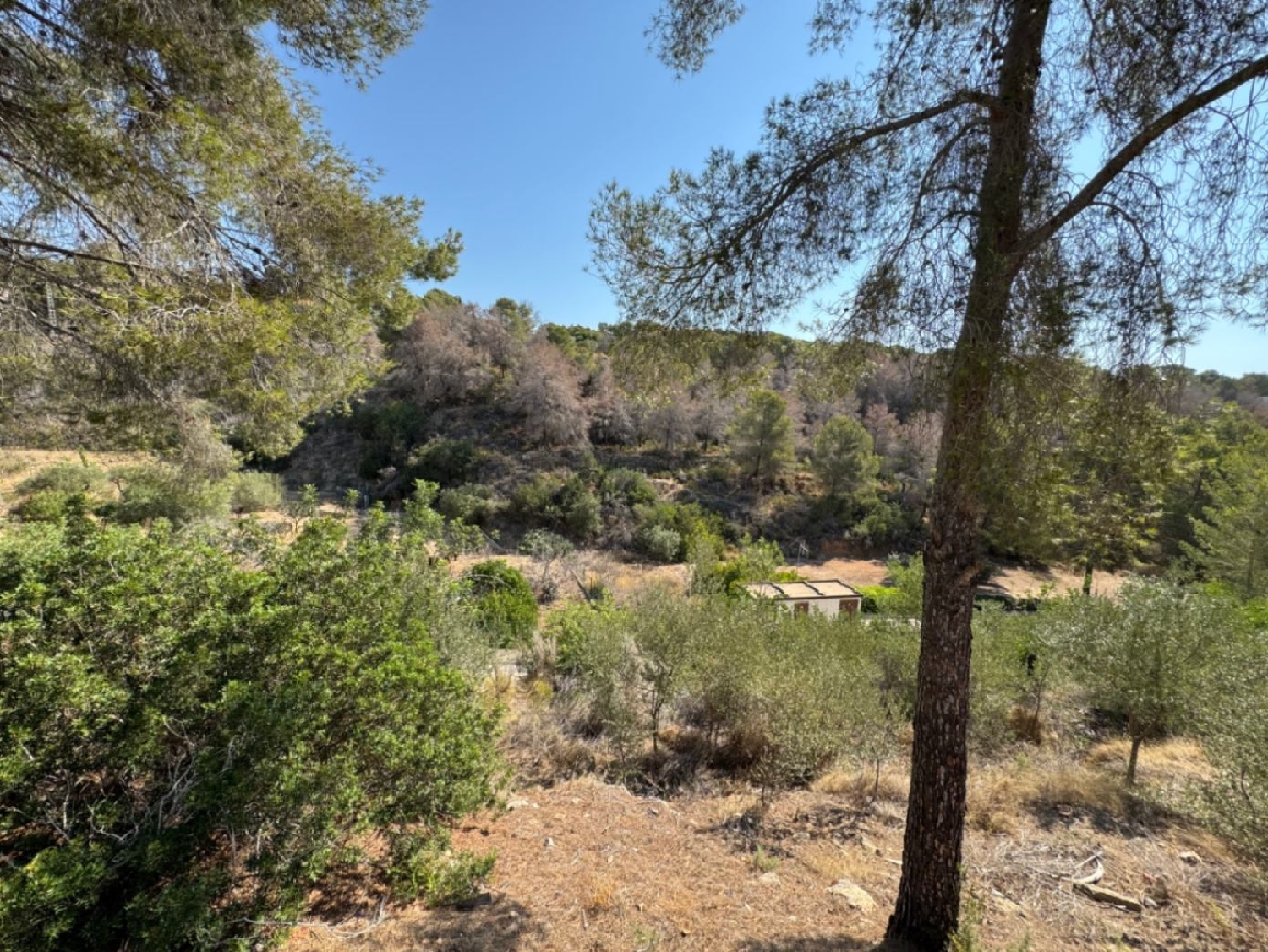  for sale plot Benissa Marina Alta 13