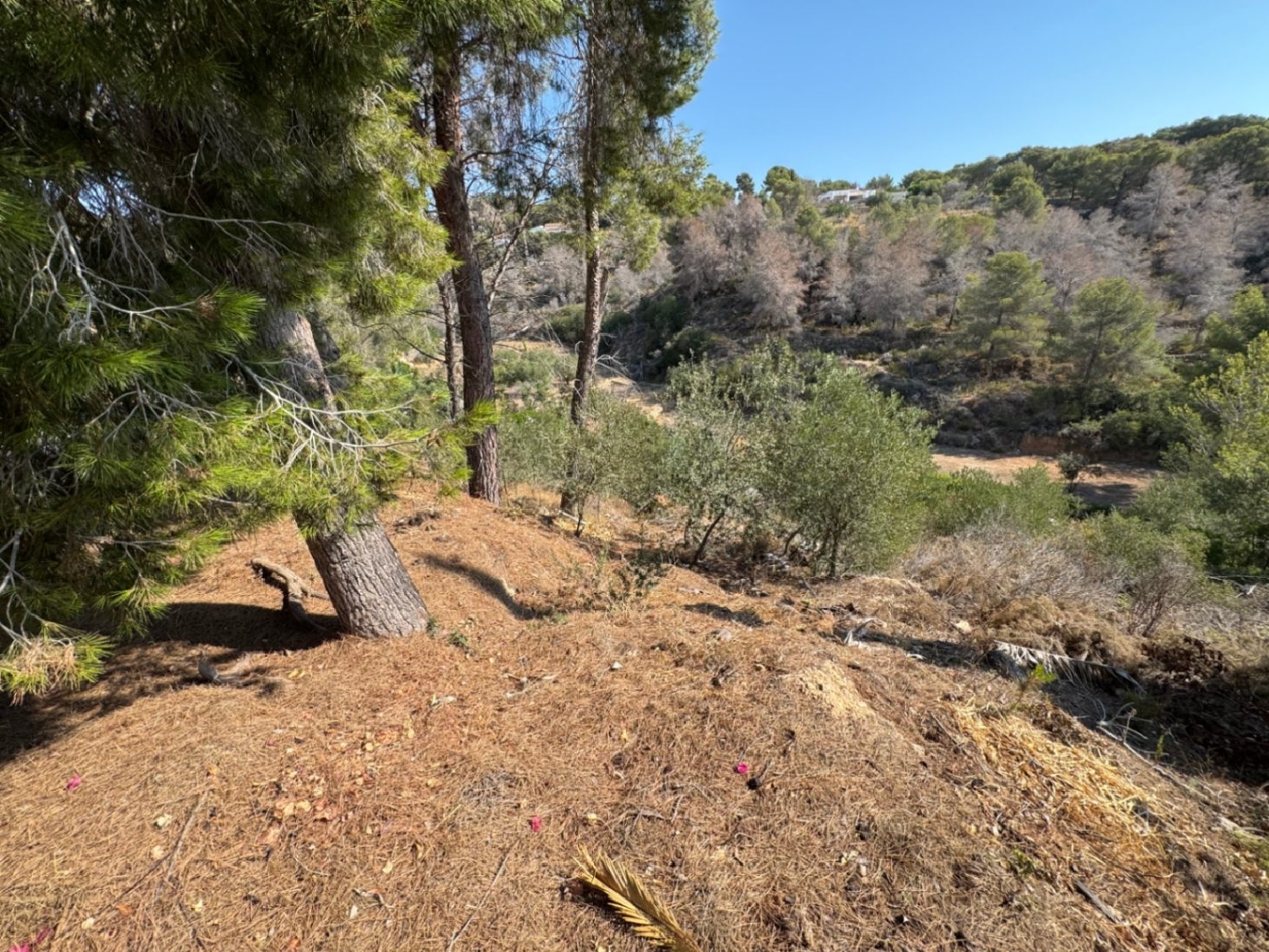  for sale plot Benissa Marina Alta 8