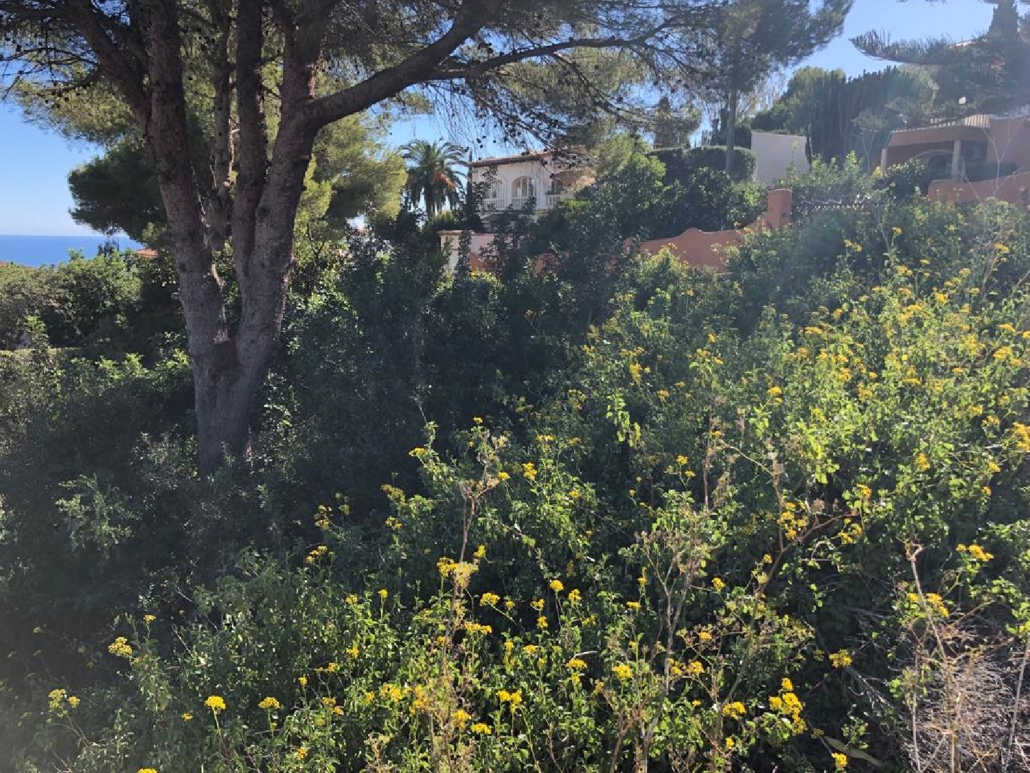  kaufen Grundstück Benitachell Marina Alta 5