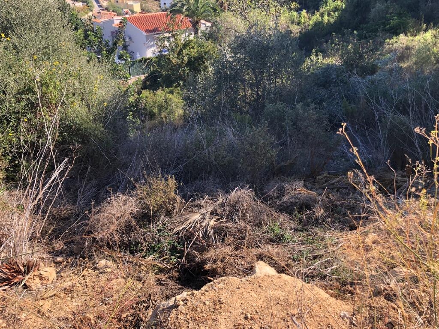  kaufen Grundstück Benitachell Marina Alta 10