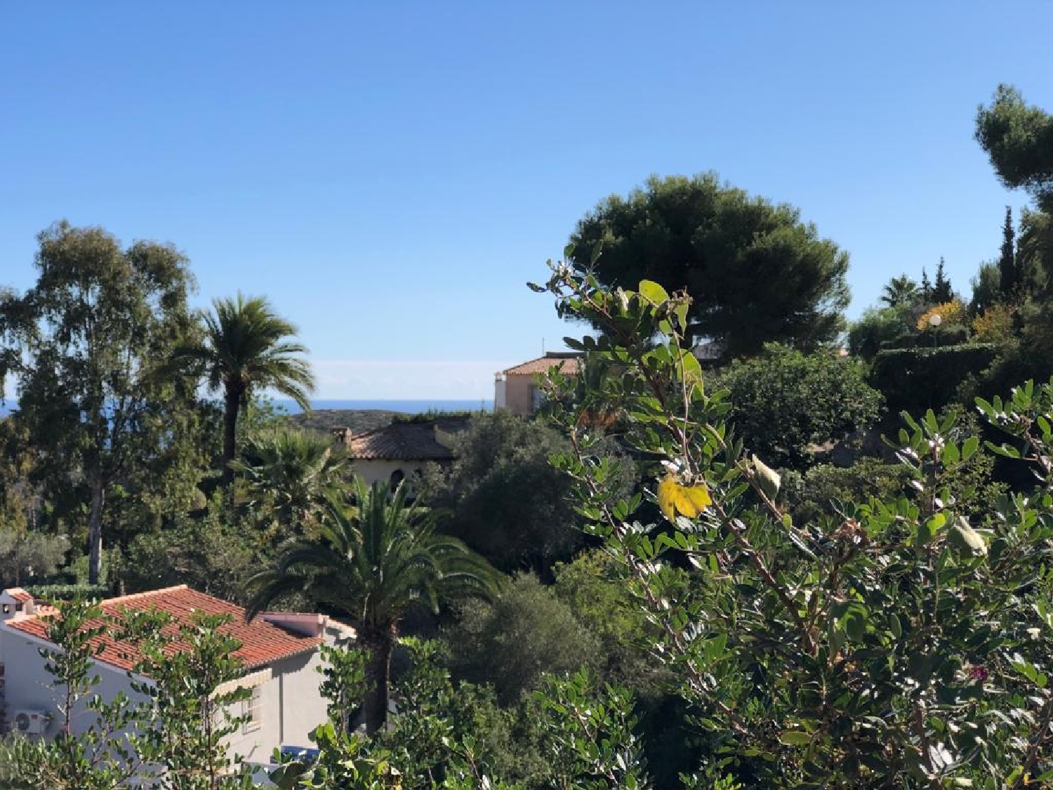  kaufen Grundstück Benitachell Marina Alta 6