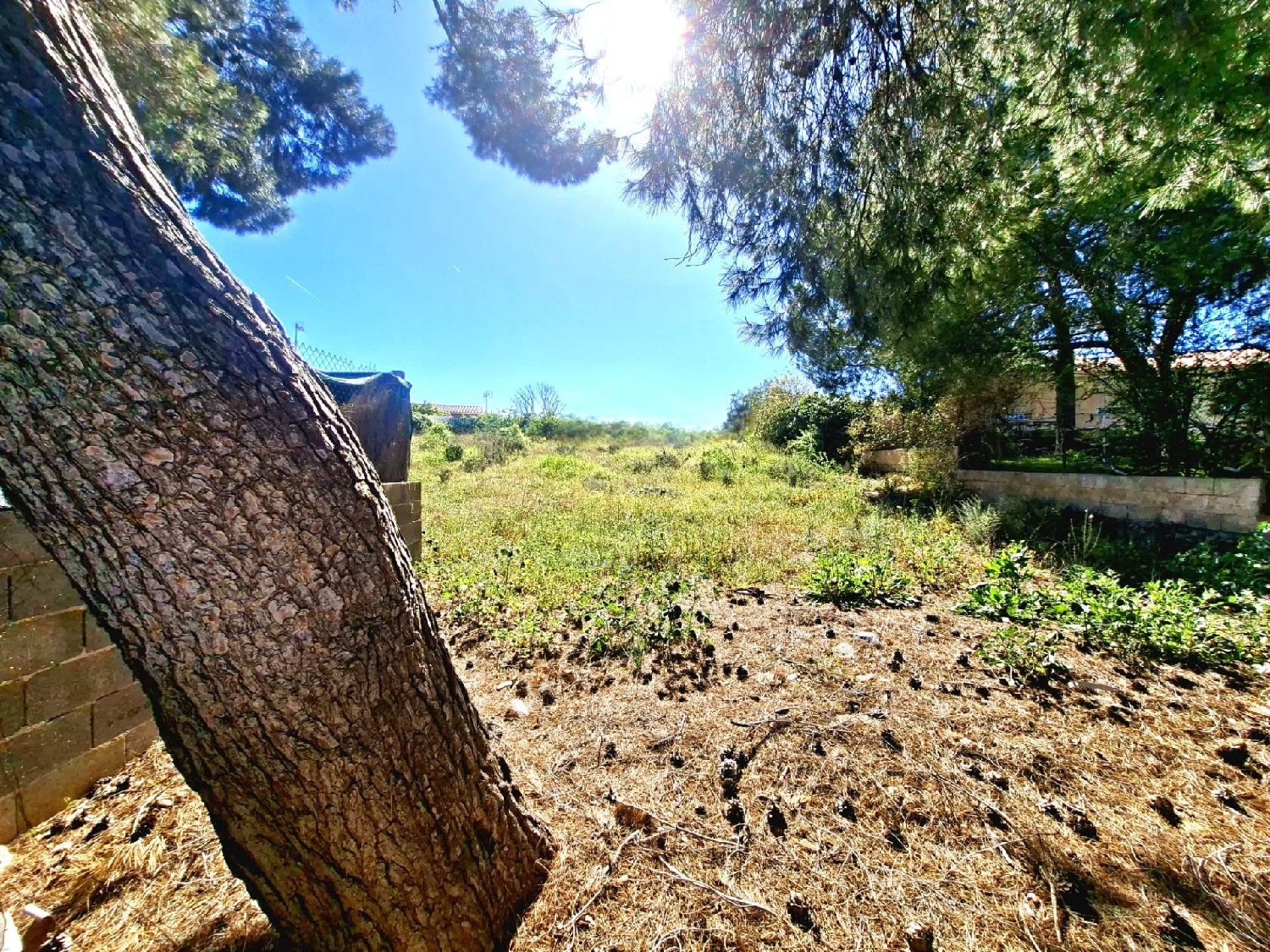  for sale plot Bétera Camp De Túria 2