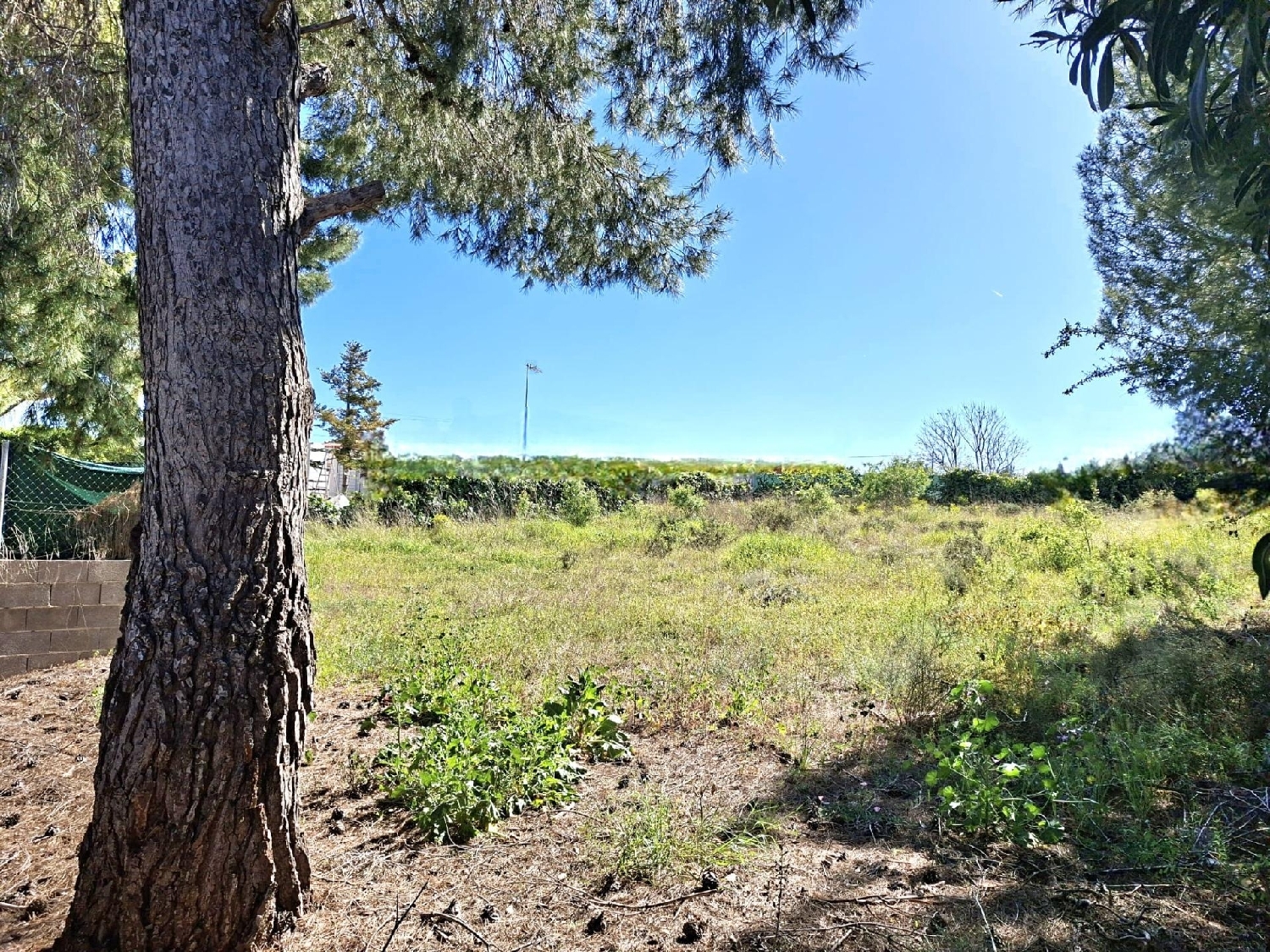  for sale plot Bétera Camp De Túria 1