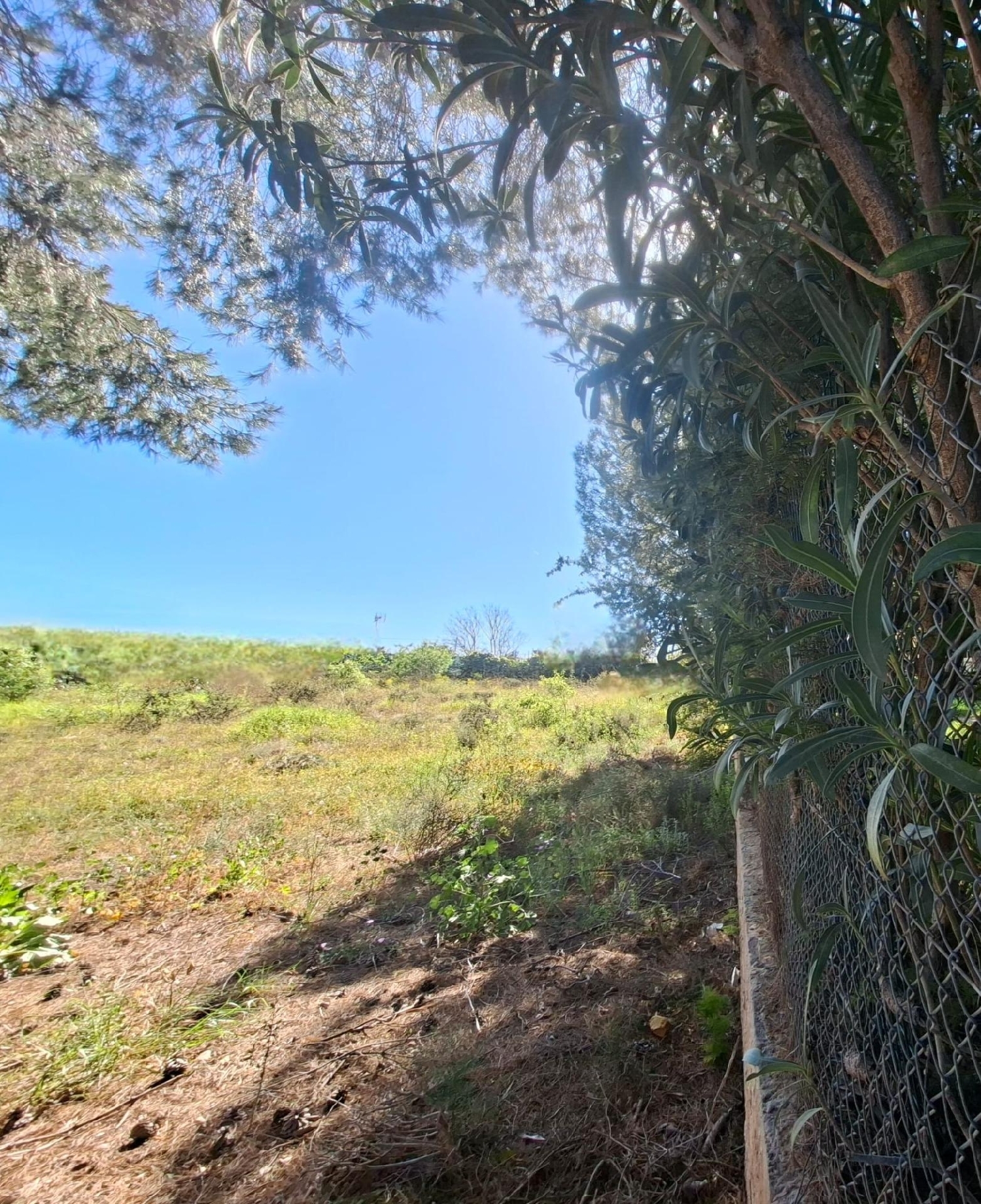  for sale plot Bétera Camp De Túria 6