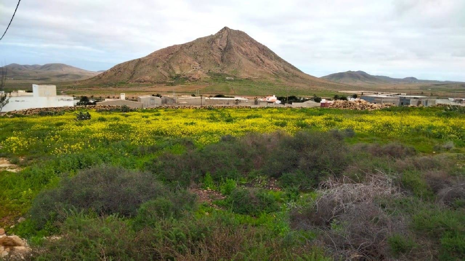  for sale plot Bolivar Vitoria-Gasteiz 1