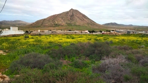Bolivar Vitoria-Gasteiz plot foto 6373857