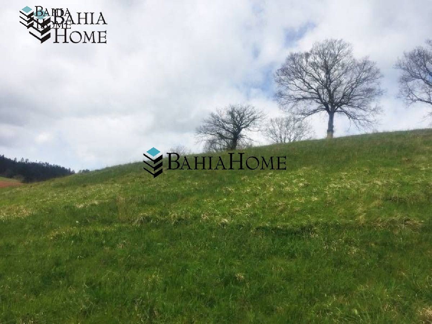  for sale plot Cabezón De La Sal Saja-Nansa 7