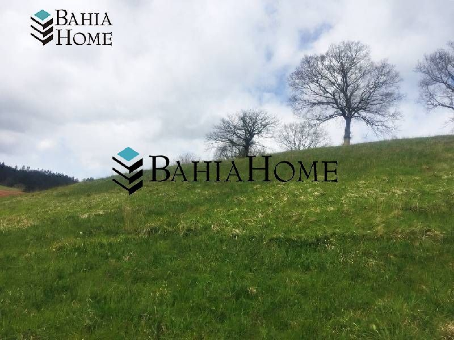  for sale plot Cabezón De La Sal Saja-Nansa 2