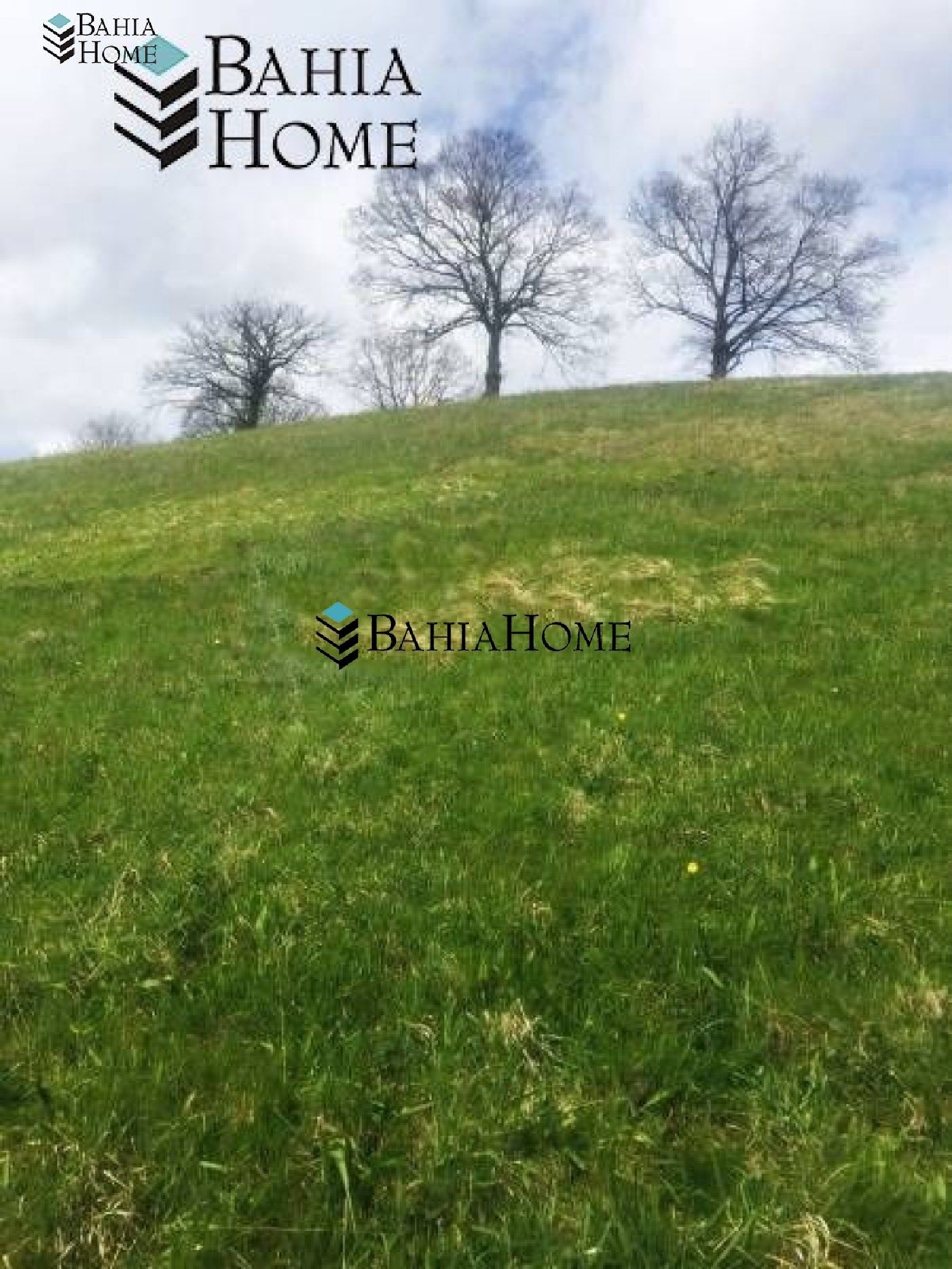  for sale plot Cabezón De La Sal Saja-Nansa 5