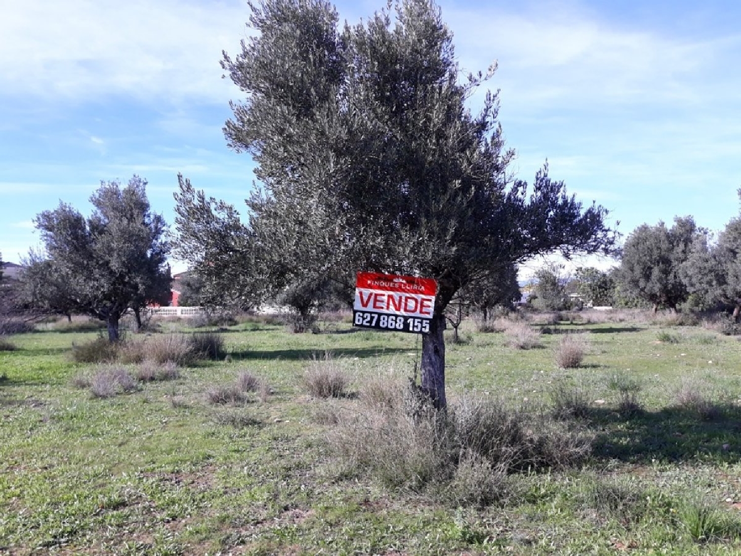  till salu tomt Camp De Lliria Camp De Túria 4