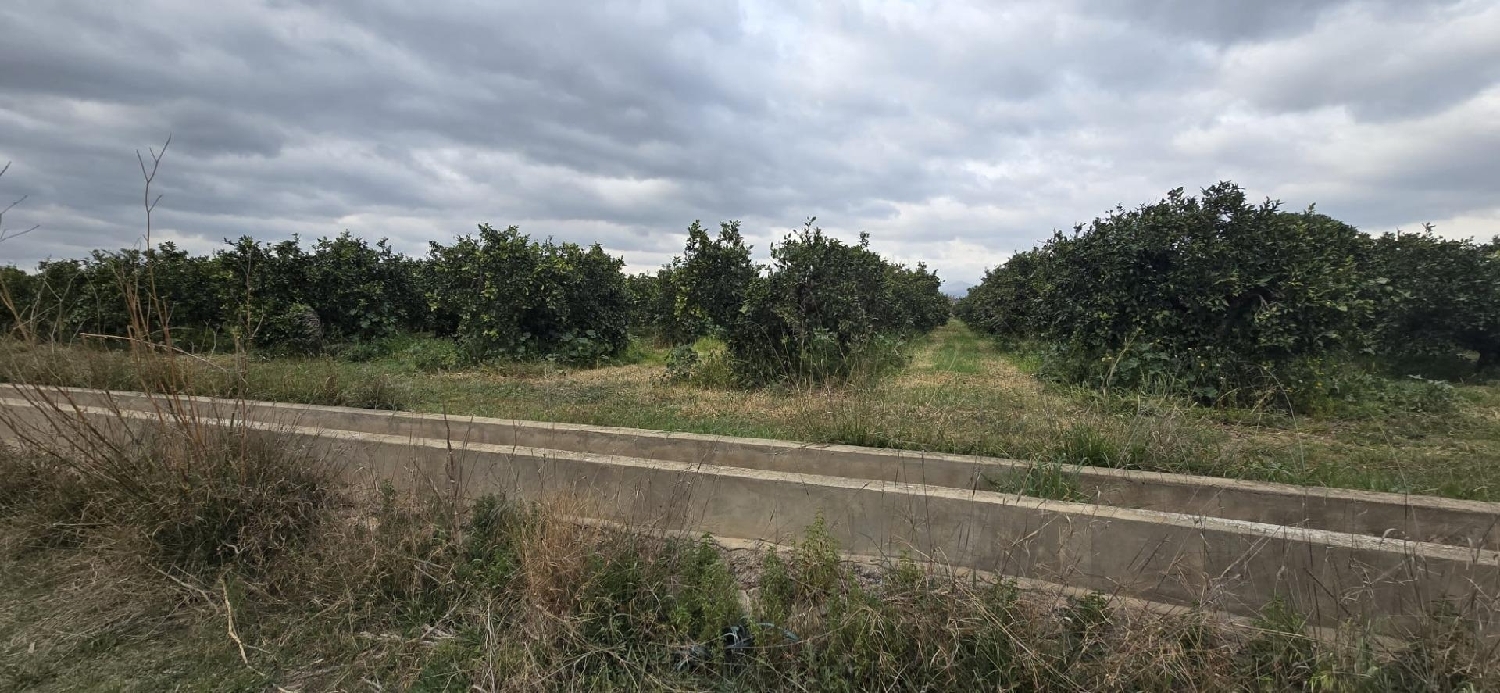  till salu tomt Camp De Lliria Camp De Túria 2