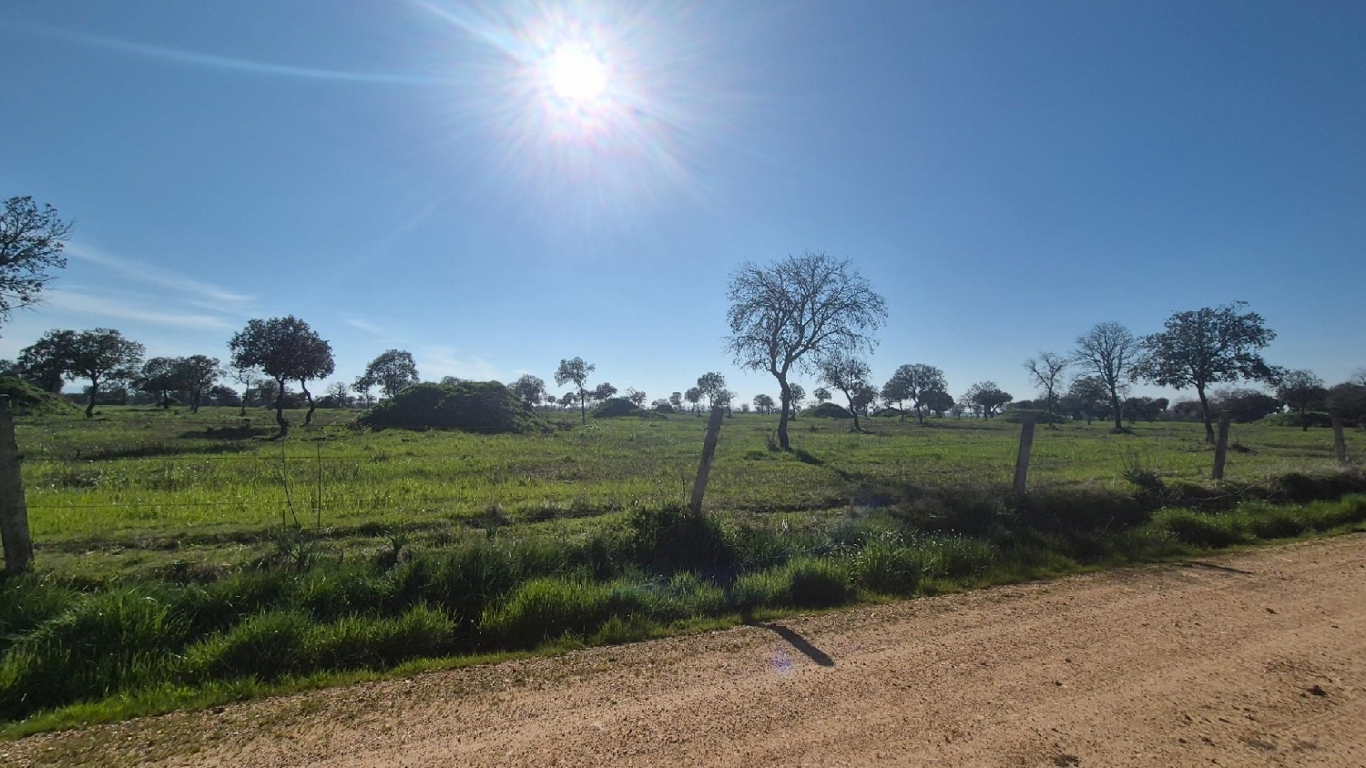  en venta terreno Carrascal Del Obispo Campo De Salamanca 6