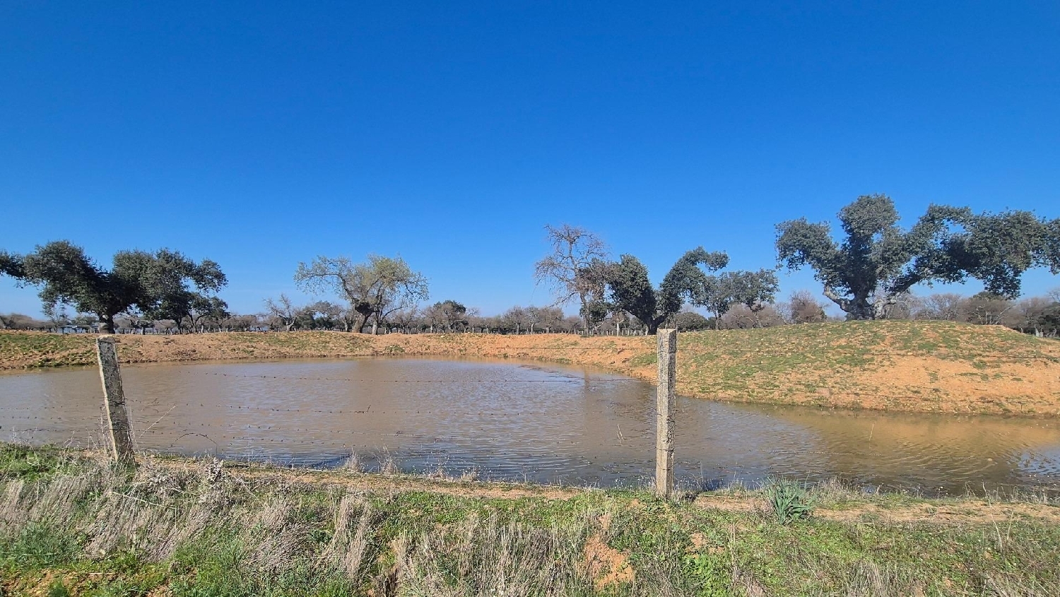  en venta terreno Carrascal Del Obispo Campo De Salamanca 4