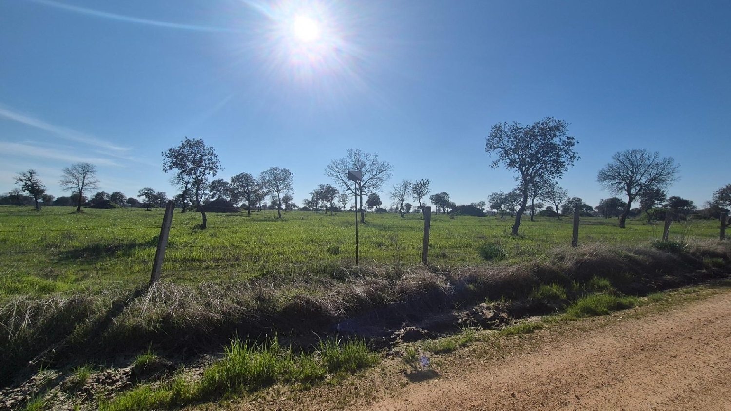  en venta terreno Carrascal Del Obispo Campo De Salamanca 2