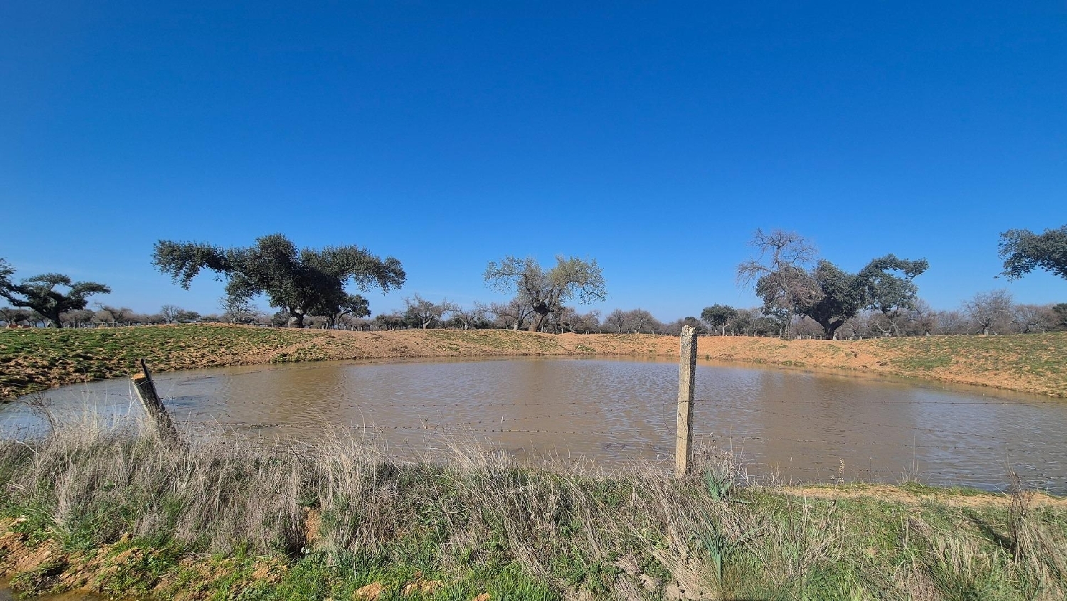  en venta terreno Carrascal Del Obispo Campo De Salamanca 5