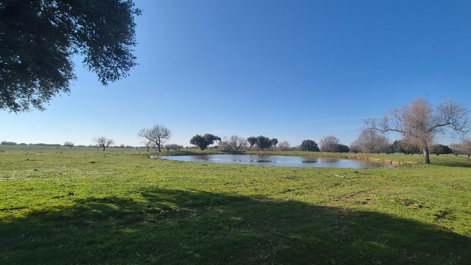  en venta terreno Carrascal Del Obispo Campo De Salamanca 1